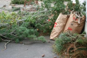 Garden Waste Removal Mount Pleasant, TN